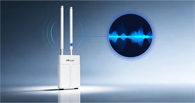 LoRaWAN gateways and networks